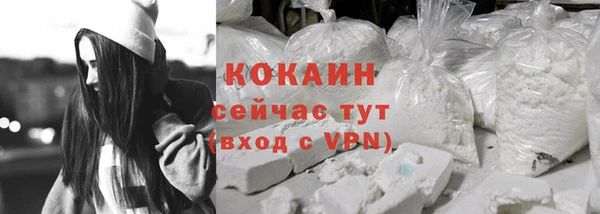 хмурый Мегион