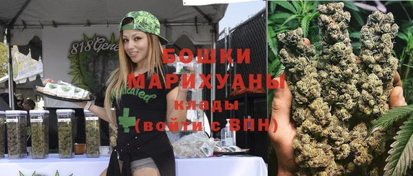 хмурый Мегион