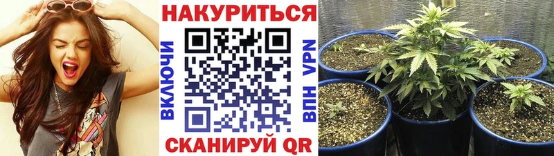 Купить где  Нягань  Канабис THC 21% 